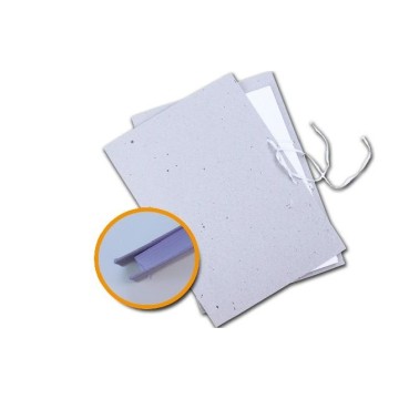 Fascykuła A4 BB [1]