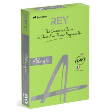 Papier kolor A4 80g REY ADAGIO 16 zielony