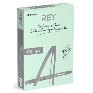 Papier kolor A4 80g REY ADAGIO 81 j. zielony
