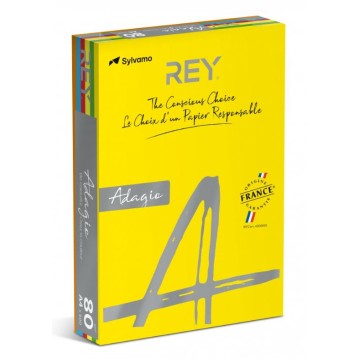 Papier kolorowy A4 80g REY ADAGIO mix intens 5x100