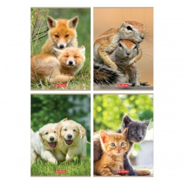 Zeszyt A4 32k trzylinia kolor HERLITZ ANIMALS